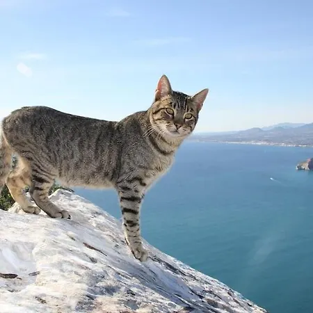 Deseo - Plusholidays ヴィラ *