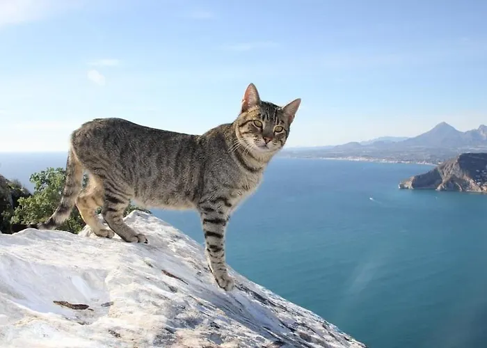 Deseo - Plusholidays Villa *